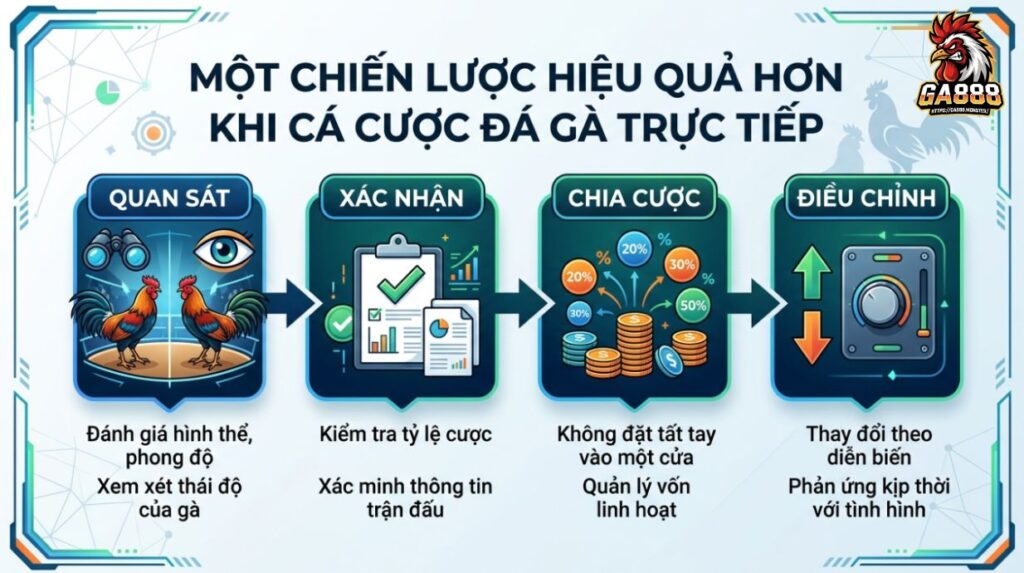Chiến lược vào kèo đá gà trực tiếp hiệu quả hơn