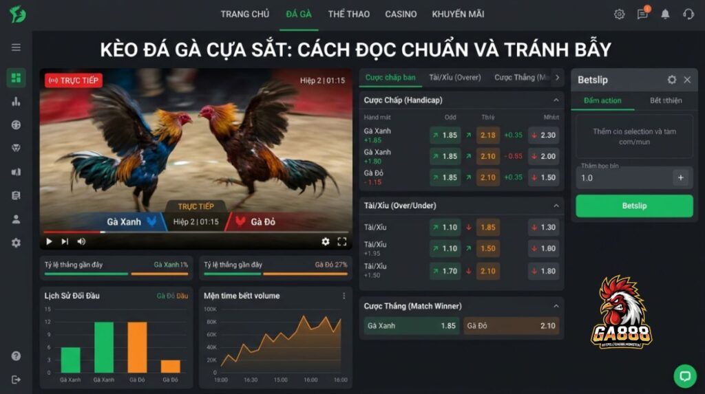 Kèo đá gà cựa sắt: Cách đọc chuẩn và tránh bẫy