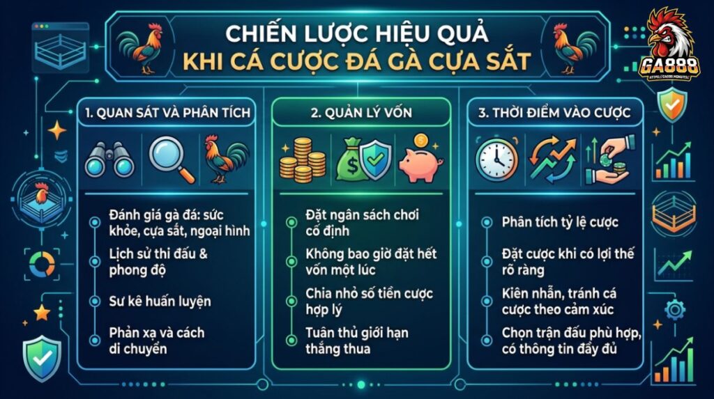 Kinh nghiệm chơi kèo đá gà cựa sắt hiệu quả