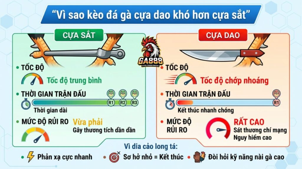 Vì sao kèo đá gà cựa dao khó hơn cựa sắt